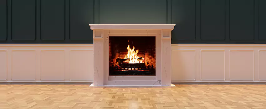 Napoleon Electric Fireplaces Inspection Service in Shelbyville, Tennessee